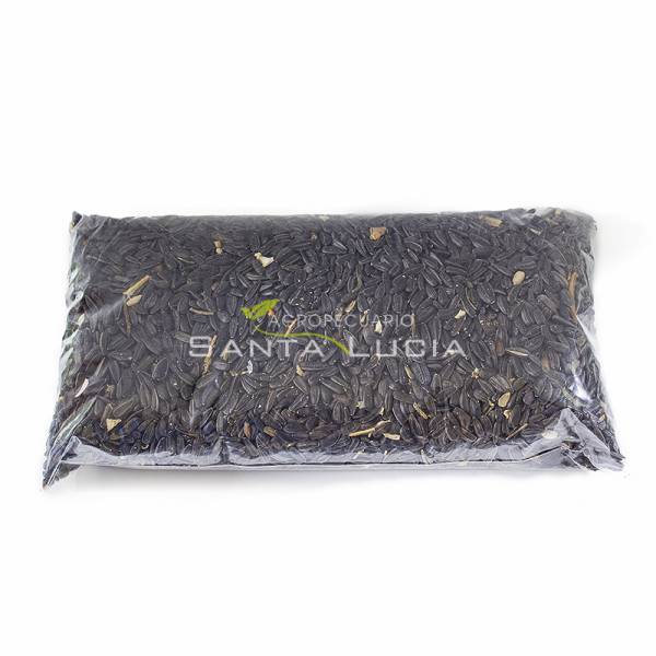 Pipa Negra Pequeña | 500 gr. Pipa Negra Pequeña | 500 gr.
