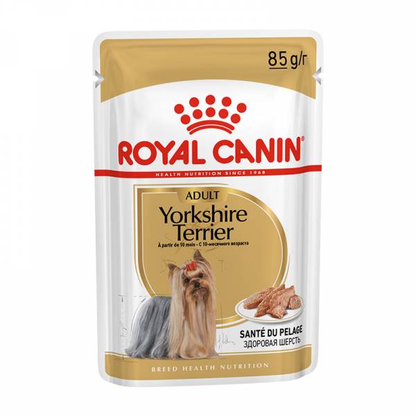 binario al límite Adolescente Croquetas Para Perros Ultima Pollo Yorkshire Terrier Comida 800 Gr Cereales  | pamso.pl