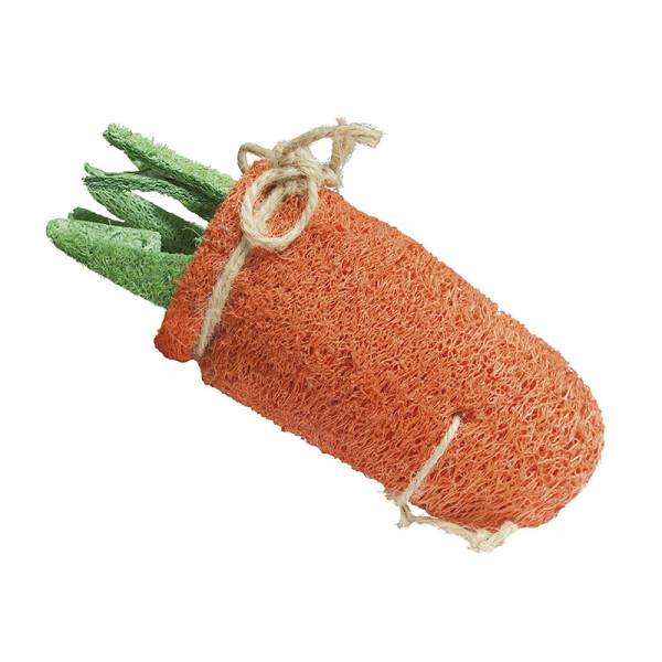 Zanahoria de esponja natural