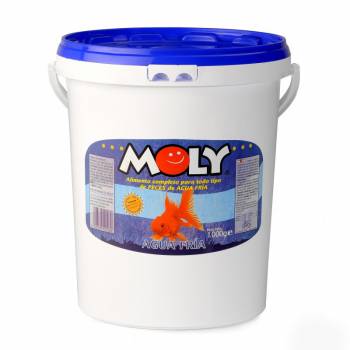 Moly Color Goldfish