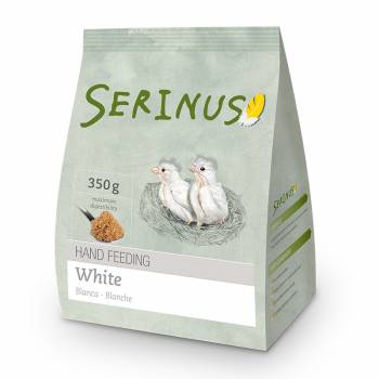 Papilla Blanca | Serinus