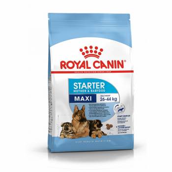Royal Canin Maxi Starter |...