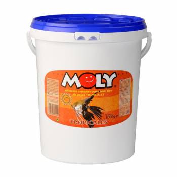 Moly Tropicales