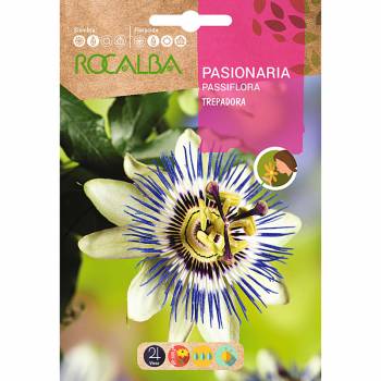 PASIONARIA (Passiflora...