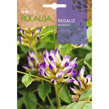 REGALIZ (Glycyrrhiza glabra)