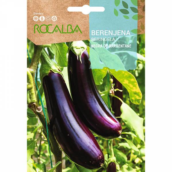 https://tienda.agropecuariosantalucia.com/5815-large_default/rocalba-semillas-berenjena-negra-barbentane.jpg