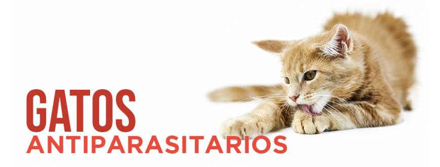 Antiparasitarios para gatos