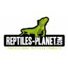 Reptiles Planet